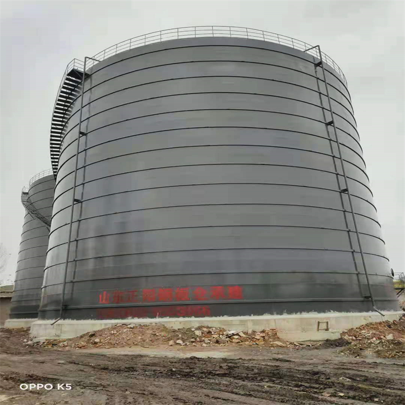 渭城3万吨大型钢板库